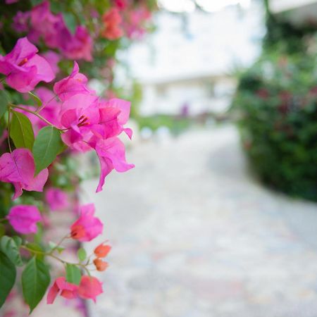 Bougainville Bay Apartments Sarandë Eksteriør billede