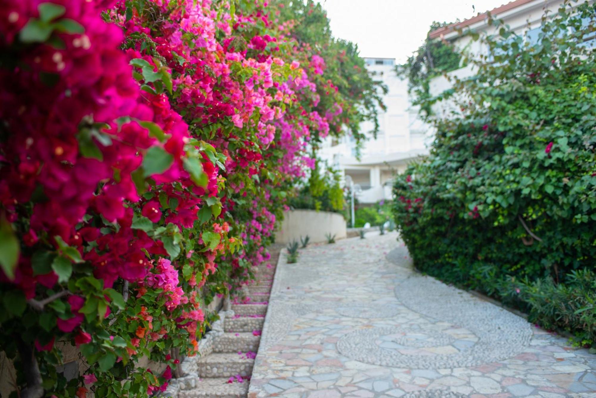Bougainville Bay Apartments Sarandë Eksteriør billede